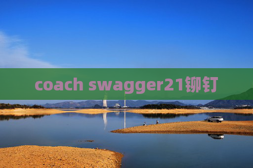 coach swagger21铆钉